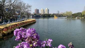 上海长风公园周边宾馆_上海长风公园周边宾馆有哪些