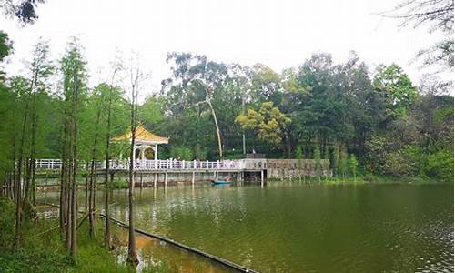 广州天鹿湖森林公园离南岗多远_广州天鹿湖