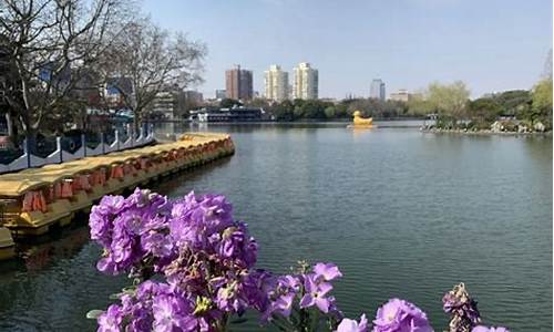 上海长风公园好吗_上海长风公园好吗值得去吗
